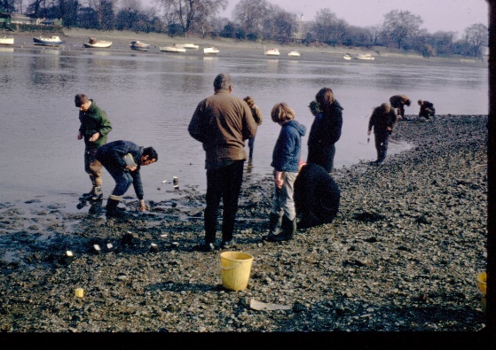 Arch2_Putney_foreshore_1971