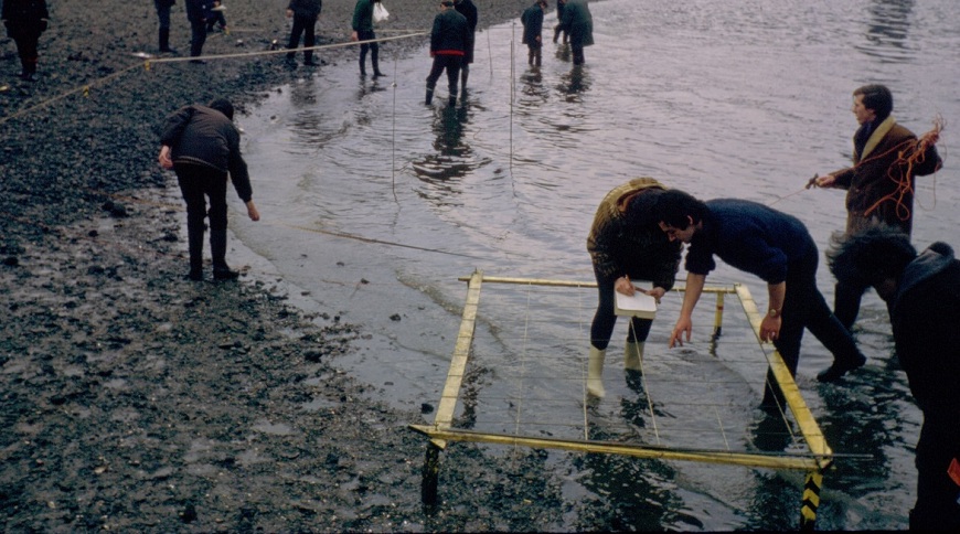 Fish_trap_1971_smaller