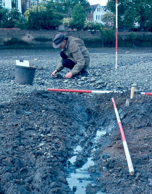 Fish_trap_1995_cropped